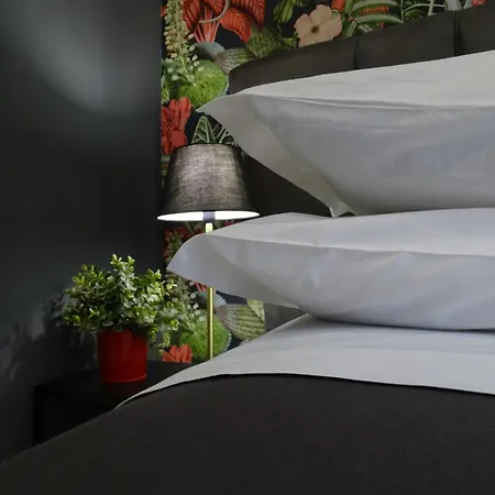 Lh Guest house